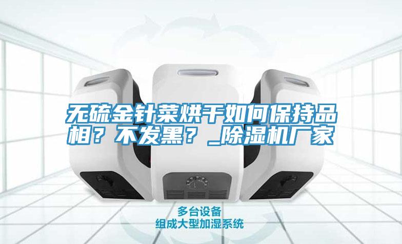 無硫金針菜烘干如何保持品相？不發(fā)黑？_除濕機廠家