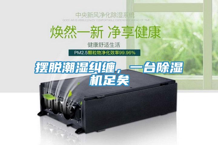 擺脫潮濕糾纏，一臺(tái)除濕機(jī)足矣