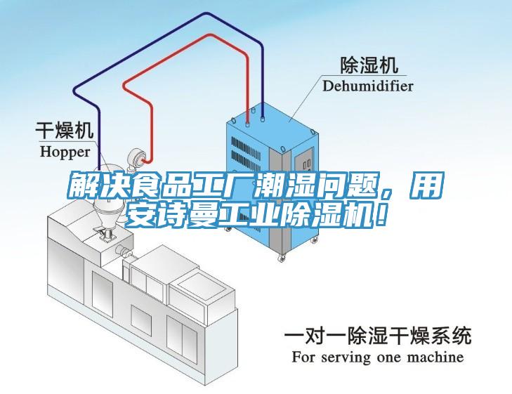 解決食品工廠潮濕問題，用安詩曼工業(yè)除濕機！
