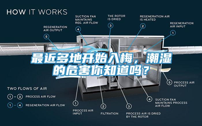 最近多地開始入梅，潮濕的危害你知道嗎？