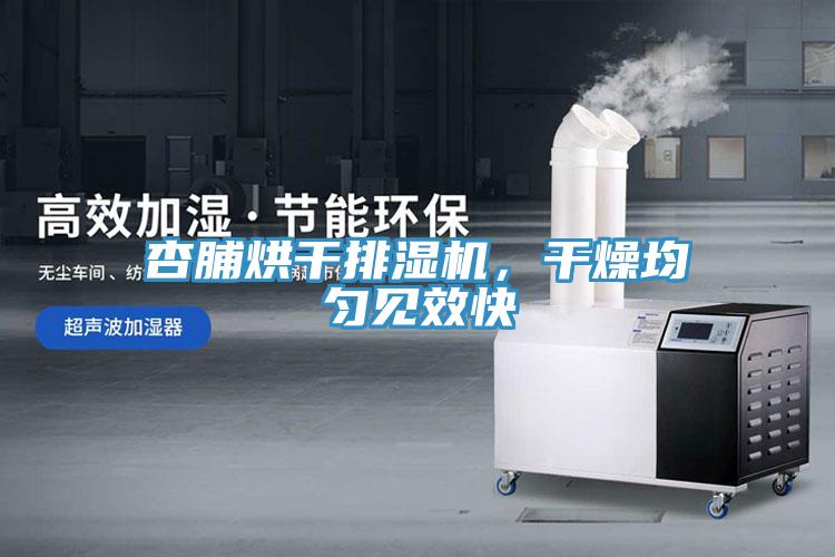 杏脯烘干排濕機，干燥均勻見效快