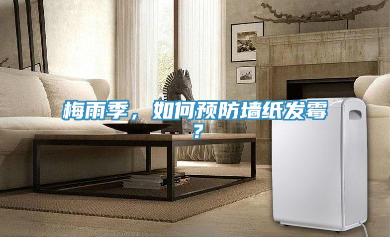 梅雨季，如何預(yù)防墻紙發(fā)霉？