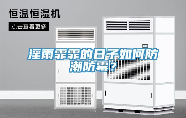淫雨霏霏的日子如何防潮防霉？