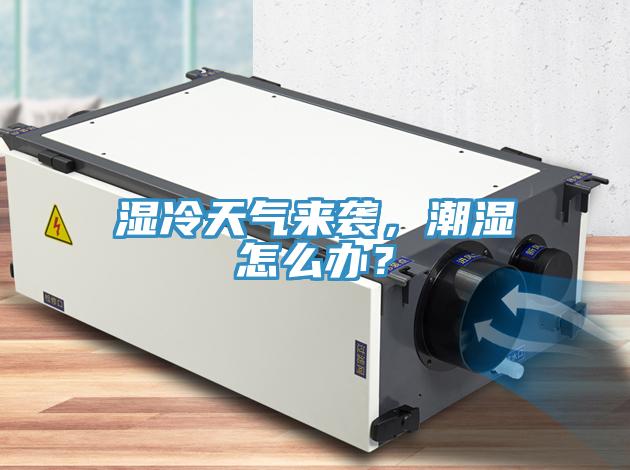 濕冷天氣來(lái)襲，潮濕怎么辦？