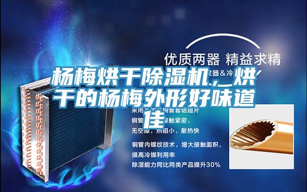 楊梅烘干除濕機，烘干的楊梅外形好味道佳