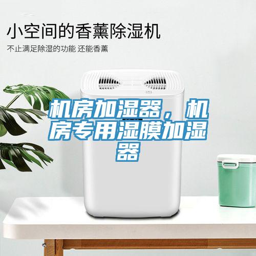 機(jī)房加濕器，機(jī)房專用濕膜加濕器