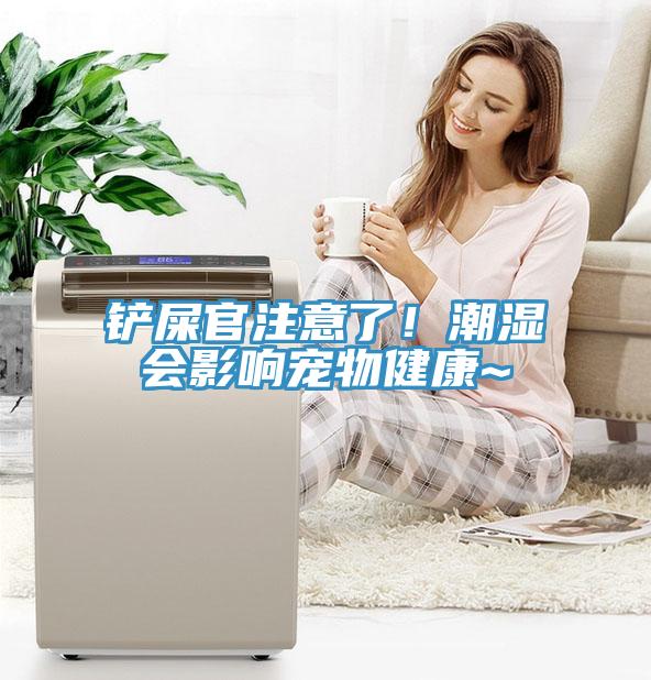 鏟屎官注意了！潮濕會(huì)影響寵物健康~