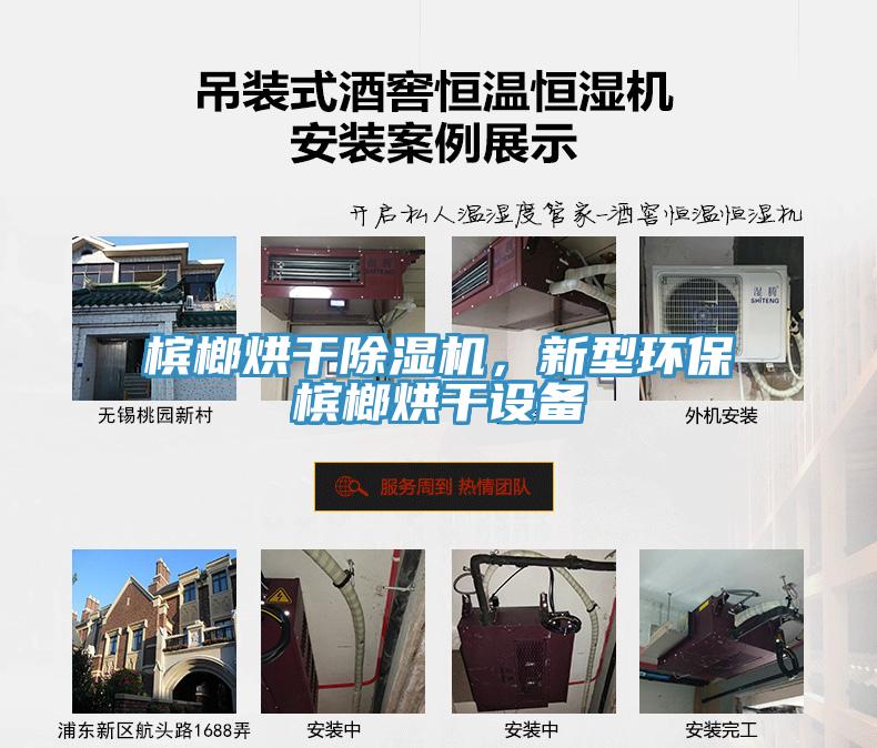 檳榔烘干除濕機(jī)，新型環(huán)保檳榔烘干設(shè)備