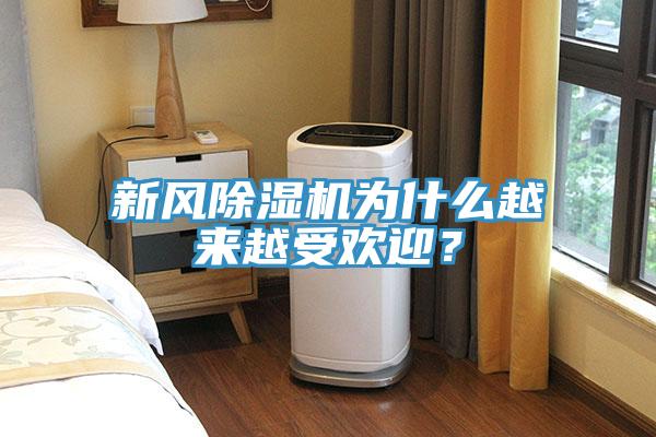 新風(fēng)除濕機(jī)為什么越來(lái)越受歡迎？