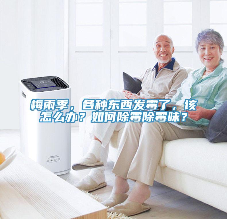 梅雨季，各種東西發(fā)霉了，該怎么辦？如何除霉除霉味？
