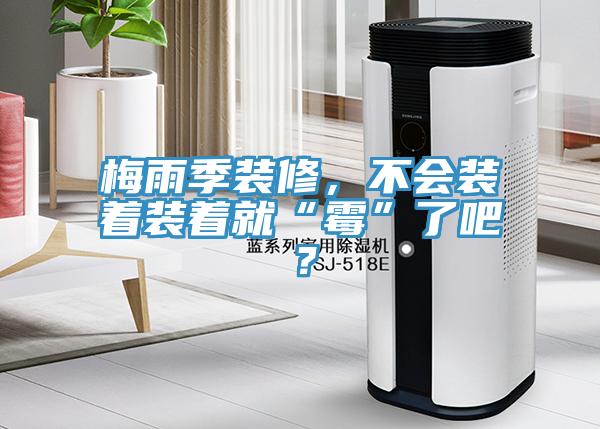 梅雨季裝修，不會裝著裝著就“霉”了吧？