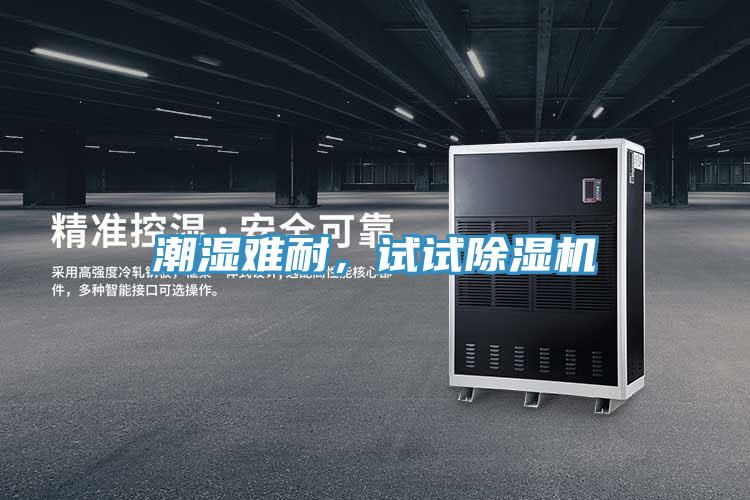 潮濕難耐，試試除濕機