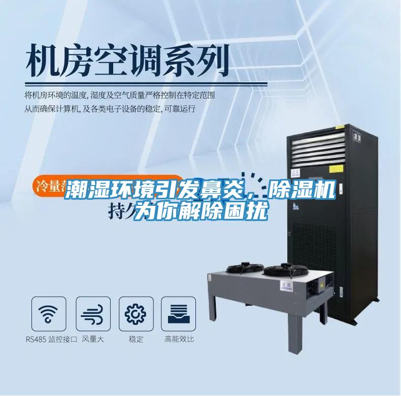 潮濕環(huán)境引發(fā)鼻炎，除濕機(jī)為你解除困擾