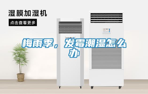 梅雨季，發(fā)霉潮濕怎么辦