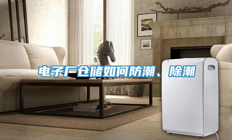電子廠倉儲(chǔ)如何防潮、除潮
