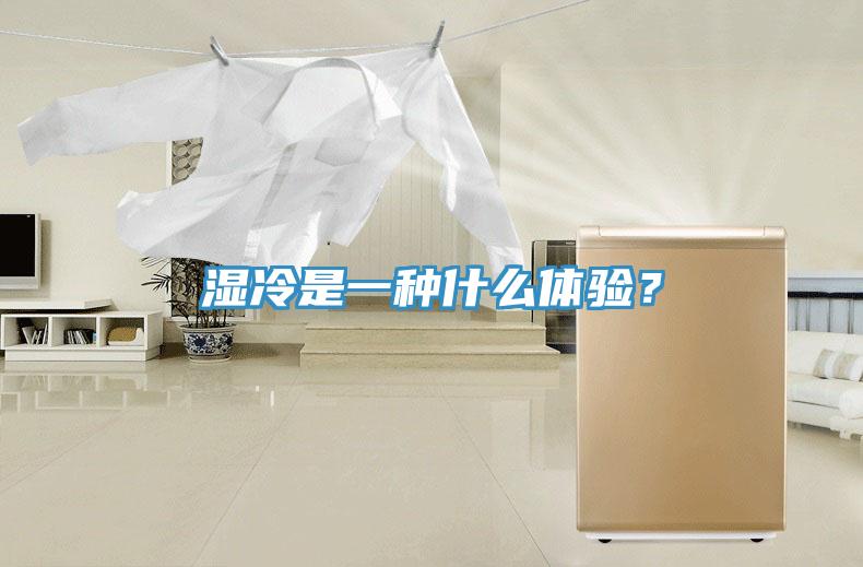 濕冷是一種什么體驗(yàn)？