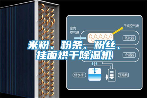 米粉、粉條、粉絲、掛面烘干除濕機