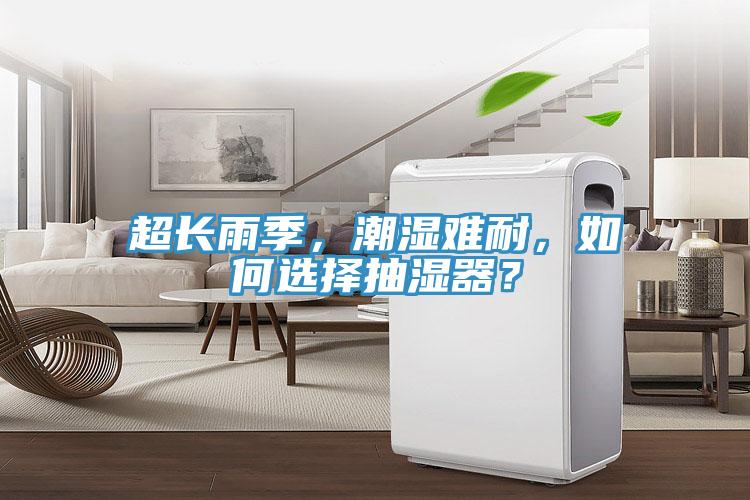超長(zhǎng)雨季，潮濕難耐，如何選擇抽濕器？