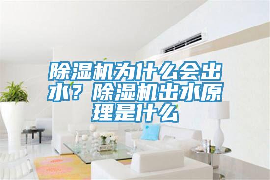 除濕機(jī)為什么會(huì)出水？除濕機(jī)出水原理是什么