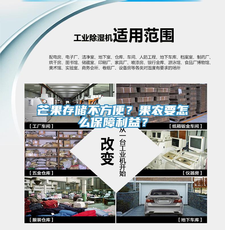 芒果存儲不方便？果農(nóng)要怎么保障利益？