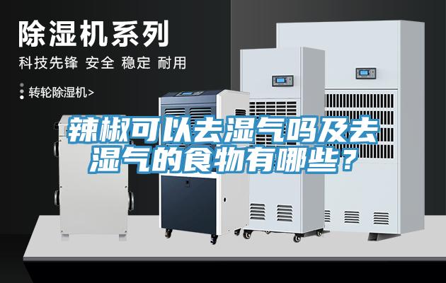 辣椒可以去濕氣嗎及去濕氣的食物有哪些？