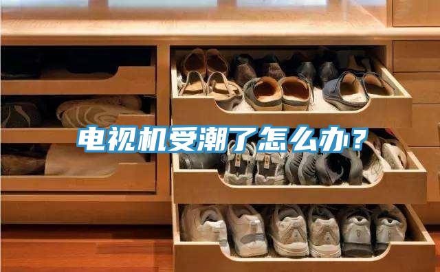 電視機(jī)受潮了怎么辦？