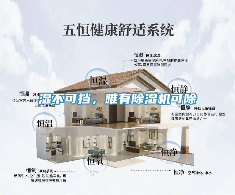 濕不可擋，唯有除濕機(jī)可除