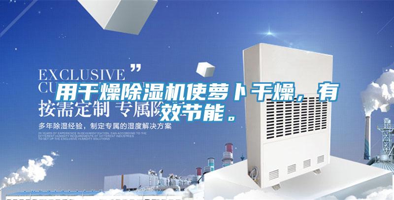 用干燥除濕機使蘿卜干燥，有效節(jié)能。