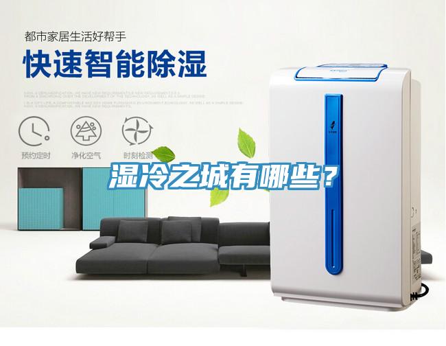 濕冷之城有哪些？
