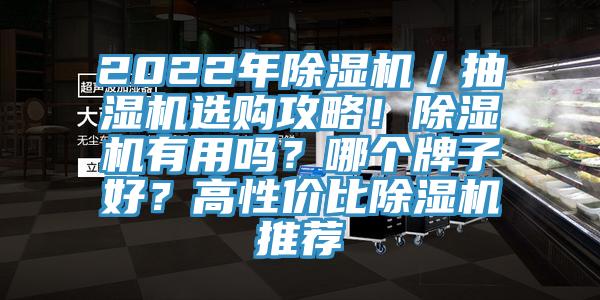 2022年除濕機(jī)／抽濕機(jī)選購(gòu)攻略！除濕機(jī)有用嗎？哪個(gè)牌子好？高性價(jià)比除濕機(jī)推薦