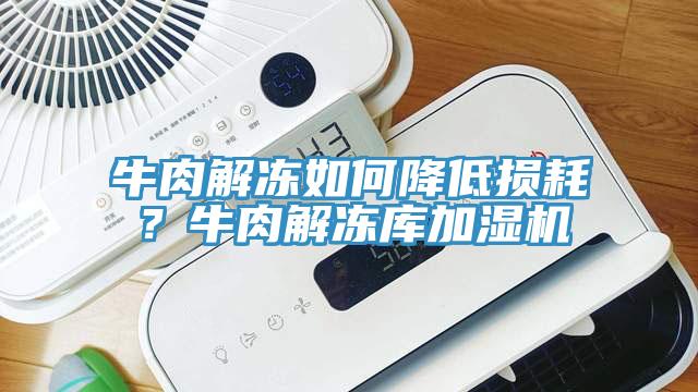 牛肉解凍如何降低損耗？牛肉解凍庫加濕機(jī)
