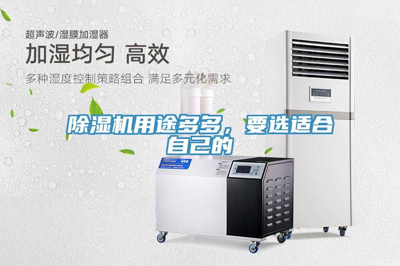除濕機用途多多，要選適合自己的