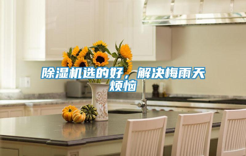 除濕機(jī)選的好，解決梅雨天煩惱