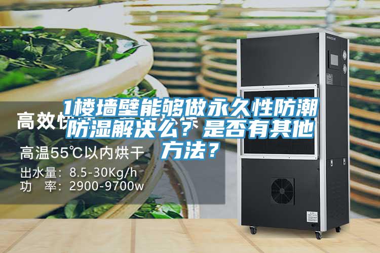 1樓墻壁能夠做永久性防潮防濕解決么？是否有其他方法？