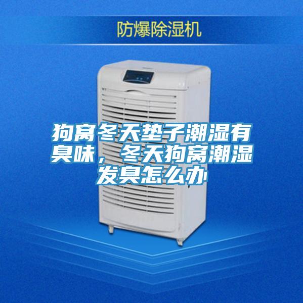 狗窩冬天墊子潮濕有臭味，冬天狗窩潮濕發(fā)臭怎么辦