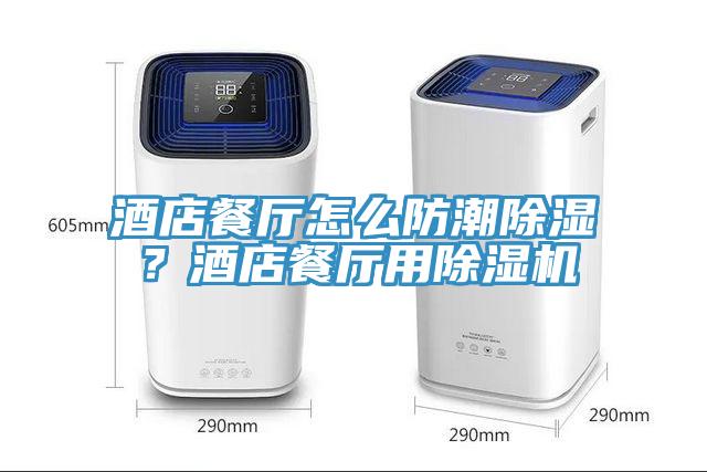 酒店餐廳怎么防潮除濕？酒店餐廳用除濕機