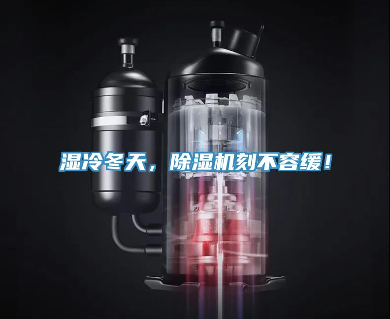 濕冷冬天，除濕機刻不容緩！