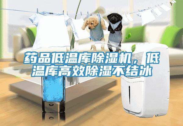 藥品低溫庫除濕機(jī)，低溫庫高效除濕不結(jié)冰