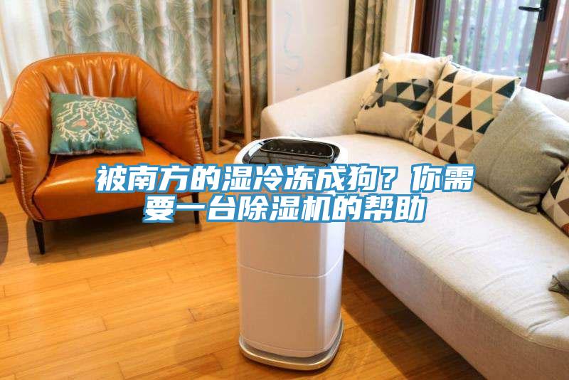 被南方的濕冷凍成狗？你需要一臺(tái)除濕機(jī)的幫助