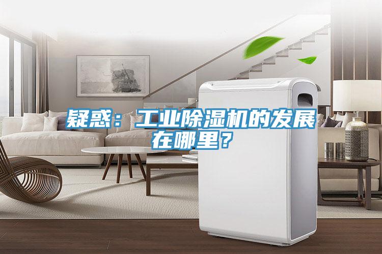 疑惑：工業(yè)除濕機(jī)的發(fā)展在哪里？