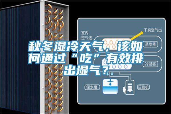 秋冬濕冷天氣，該如何通過“吃”有效排出濕氣？