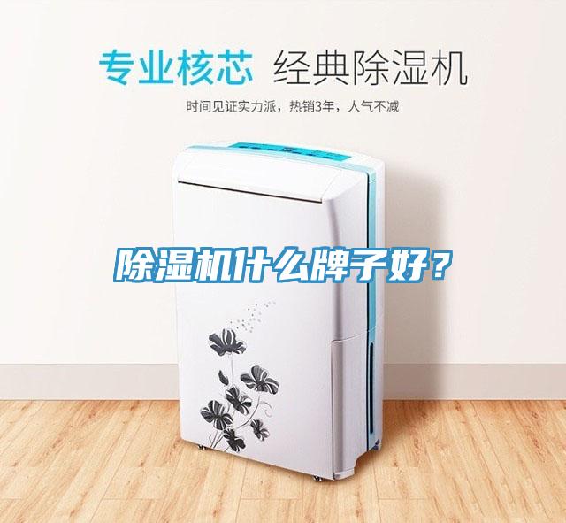 除濕機(jī)什么牌子好？