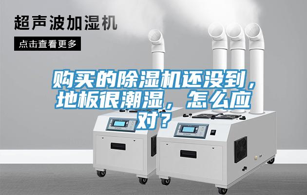 購買的除濕機(jī)還沒到，地板很潮濕，怎么應(yīng)對(duì)？