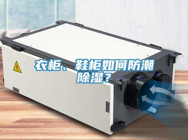 衣柜、鞋柜如何防潮除濕？