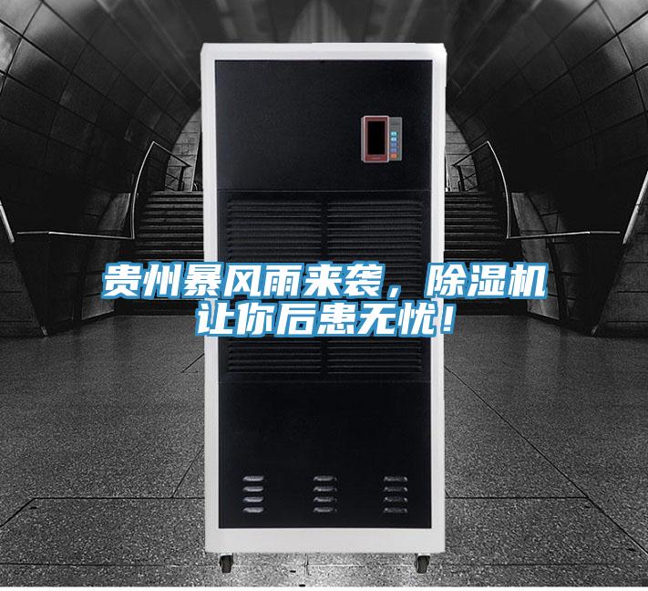 貴州暴風(fēng)雨來襲，除濕機讓你后患無憂！