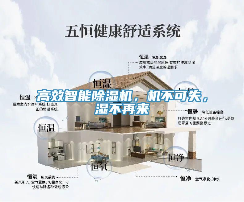 高效智能除濕機(jī)，機(jī)不可失，濕不再來