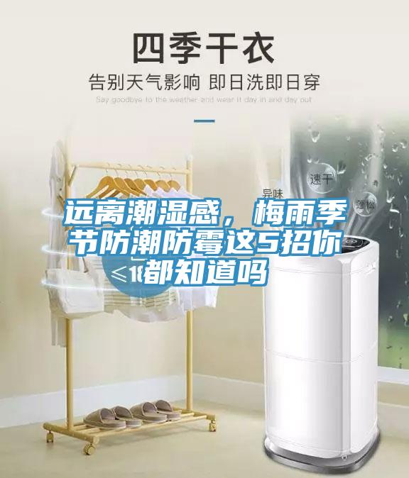 遠(yuǎn)離潮濕感，梅雨季節(jié)防潮防霉這5招你都知道嗎