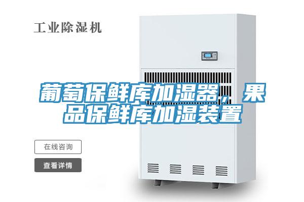 葡萄保鮮庫加濕器，果品保鮮庫加濕裝置
