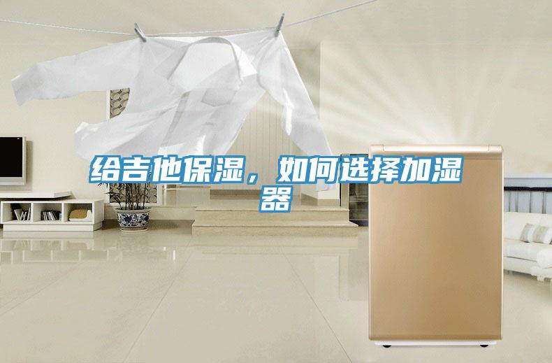 給吉他保濕，如何選擇加濕器