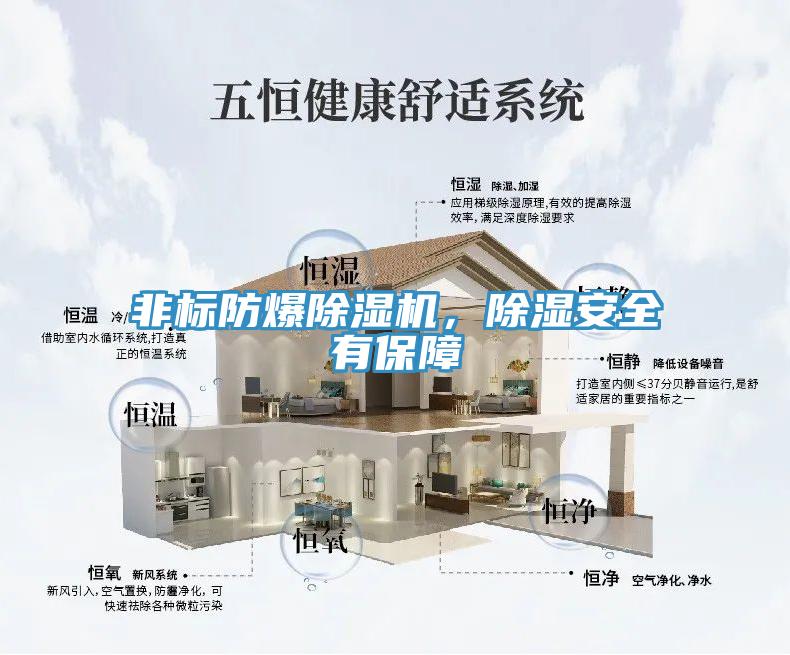 非標(biāo)防爆除濕機(jī)，除濕安全有保障